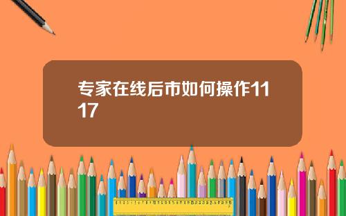 专家在线后市如何操作1117