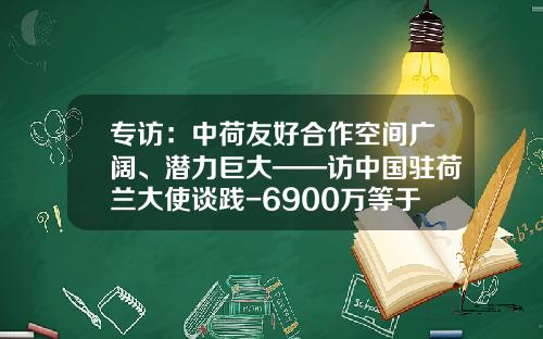 专访：中荷友好合作空间广阔、潜力巨大——访中国驻荷兰大使谈践-6900万等于多少亿