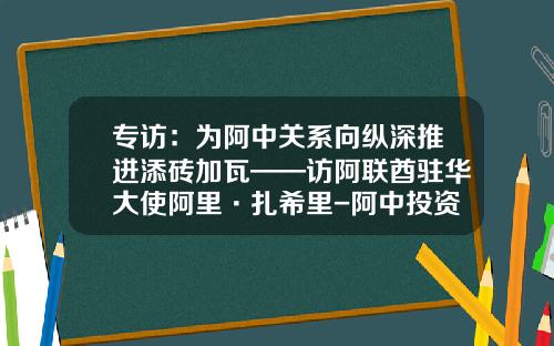 专访：为阿中关系向纵深推进添砖加瓦——访阿联酋驻华大使阿里·扎希里-阿中投资基金