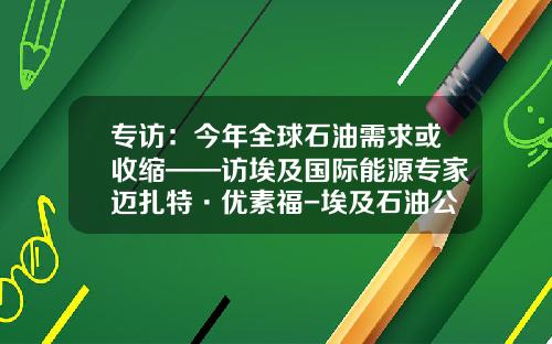 专访：今年全球石油需求或收缩——访埃及国际能源专家迈扎特·优素福-埃及石油公司