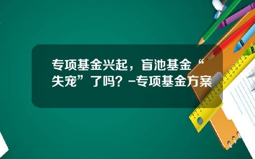 专项基金兴起，盲池基金“失宠”了吗？-专项基金方案