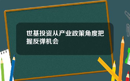 世基投资从产业政策角度把握反弹机会