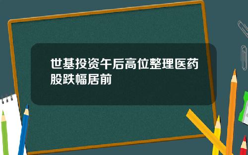 世基投资午后高位整理医药股跌幅居前