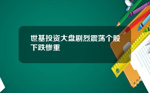 世基投资大盘剧烈震荡个股下跌惨重