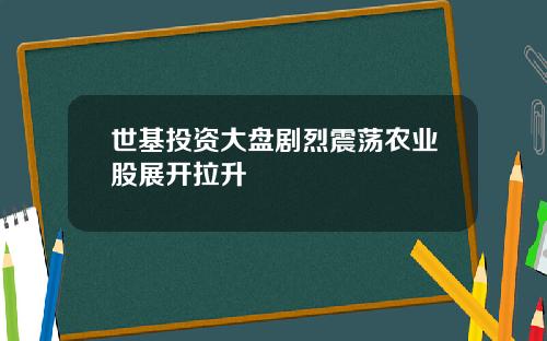 世基投资大盘剧烈震荡农业股展开拉升