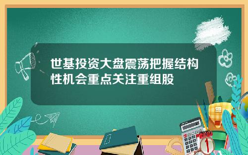 世基投资大盘震荡把握结构性机会重点关注重组股