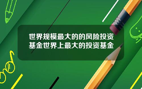世界规模最大的的风险投资基金世界上最大的投资基金