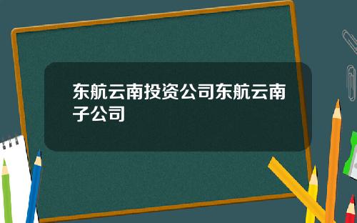 东航云南投资公司东航云南子公司
