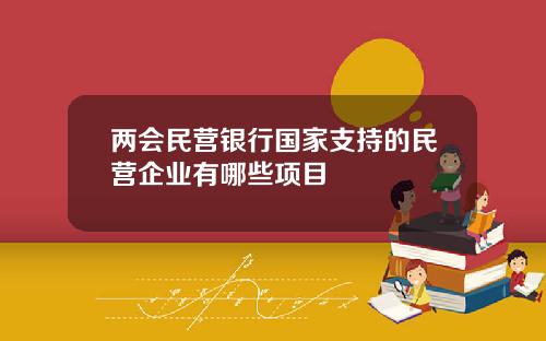 两会民营银行国家支持的民营企业有哪些项目