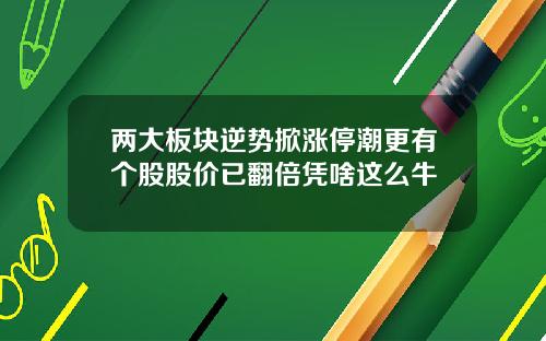 两大板块逆势掀涨停潮更有个股股价已翻倍凭啥这么牛