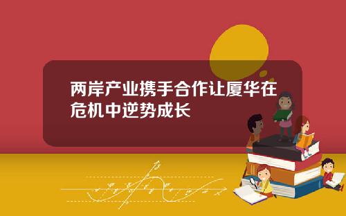 两岸产业携手合作让厦华在危机中逆势成长