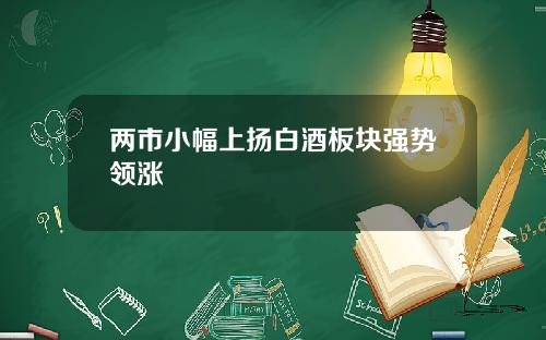两市小幅上扬白酒板块强势领涨