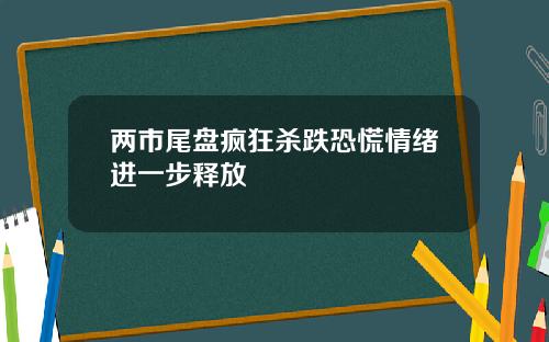 两市尾盘疯狂杀跌恐慌情绪进一步释放