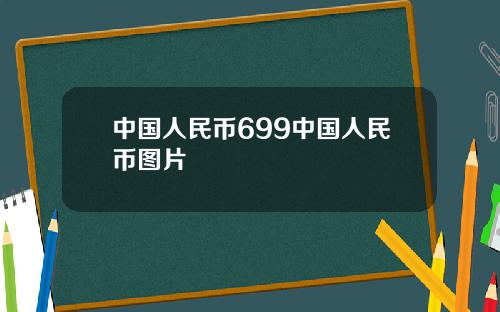 中国人民币699中国人民币图片
