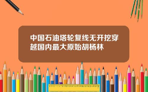 中国石油塔轮复线无开挖穿越国内最大原始胡杨林