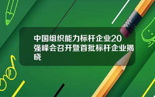 中国组织能力标杆企业20强峰会召开暨首批标杆企业揭晓