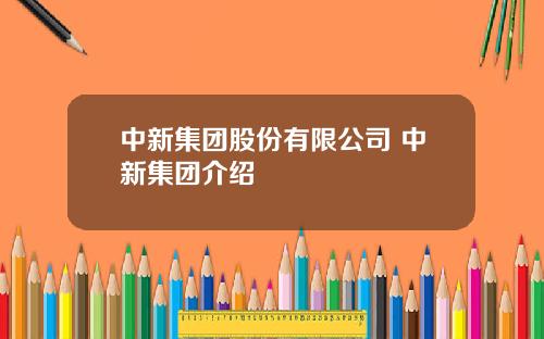 中新集团股份有限公司 中新集团介绍