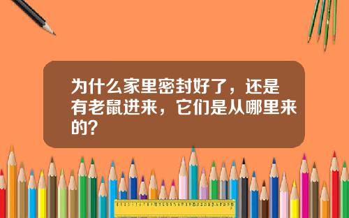 为什么家里密封好了，还是有老鼠进来，它们是从哪里来的？
