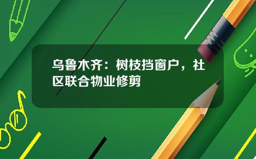 乌鲁木齐：树枝挡窗户，社区联合物业修剪