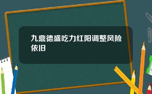 九鼎德盛吃力红阳调整风险依旧