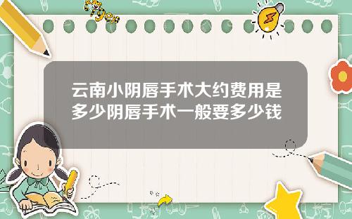 云南小阴唇手术大约费用是多少阴唇手术一般要多少钱