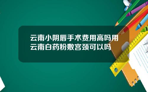 云南小阴唇手术费用高吗用云南白药粉敷宫颈可以吗