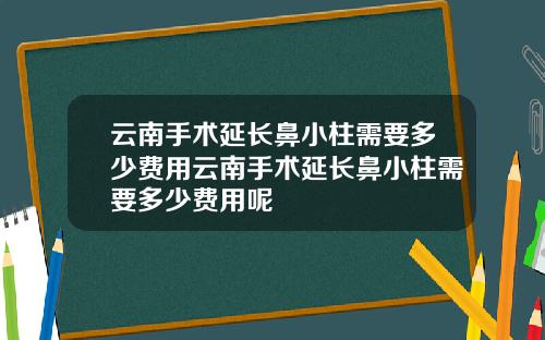 云南手术延长鼻小柱需要多少费用云南手术延长鼻小柱需要多少费用呢