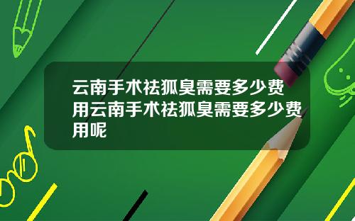 云南手术祛狐臭需要多少费用云南手术祛狐臭需要多少费用呢