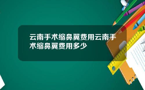 云南手术缩鼻翼费用云南手术缩鼻翼费用多少