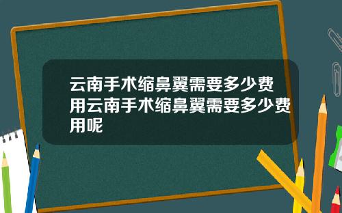云南手术缩鼻翼需要多少费用云南手术缩鼻翼需要多少费用呢
