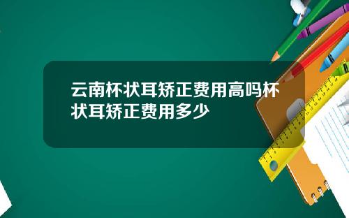 云南杯状耳矫正费用高吗杯状耳矫正费用多少