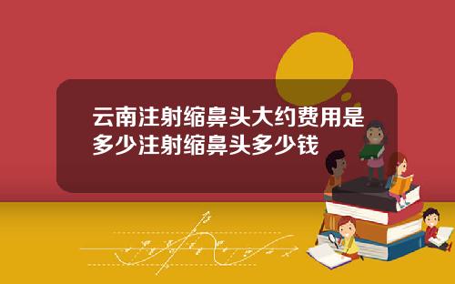 云南注射缩鼻头大约费用是多少注射缩鼻头多少钱