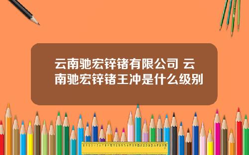 云南驰宏锌锗有限公司 云南驰宏锌锗王冲是什么级别