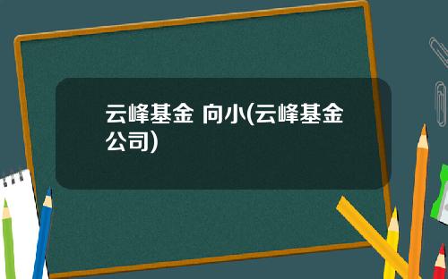 云峰基金 向小(云峰基金公司)