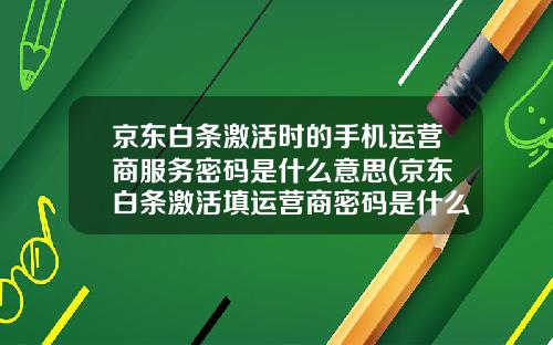 京东白条激活时的手机运营商服务密码是什么意思(京东白条激活填运营商密码是什么)