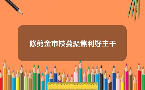 修剪金市枝蔓聚焦利好主干