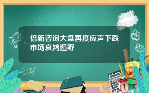 倍新咨询大盘再度应声下跌市场哀鸿遍野
