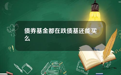 债券基金都在跌债基还能买么