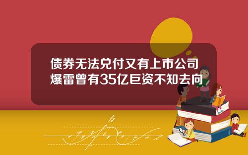 债券无法兑付又有上市公司爆雷曾有35亿巨资不知去向
