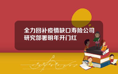 全力回补疫情缺口寿险公司研究部署明年开门红