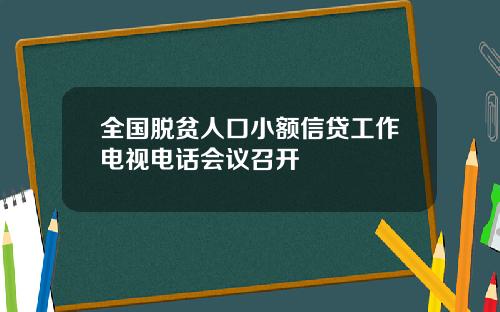 全国脱贫人口小额信贷工作电视电话会议召开