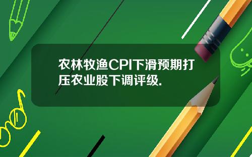 农林牧渔CPI下滑预期打压农业股下调评级.