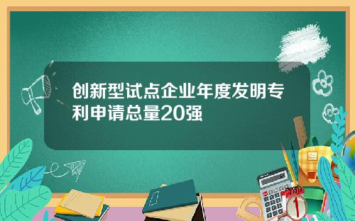 创新型试点企业年度发明专利申请总量20强
