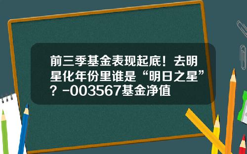 前三季基金表现起底！去明星化年份里谁是“明日之星”？-003567基金净值