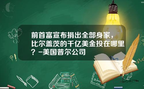 前首富宣布捐出全部身家，比尔盖茨的千亿美金投在哪里？-美国普尔公司