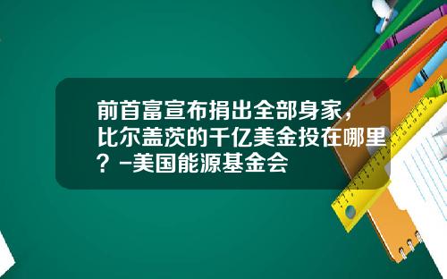前首富宣布捐出全部身家，比尔盖茨的千亿美金投在哪里？-美国能源基金会