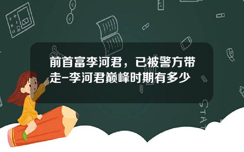 前首富李河君，已被警方带走-李河君巅峰时期有多少
