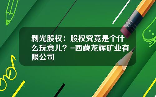 剥光股权：股权究竟是个什么玩意儿？-西藏龙辉矿业有限公司
