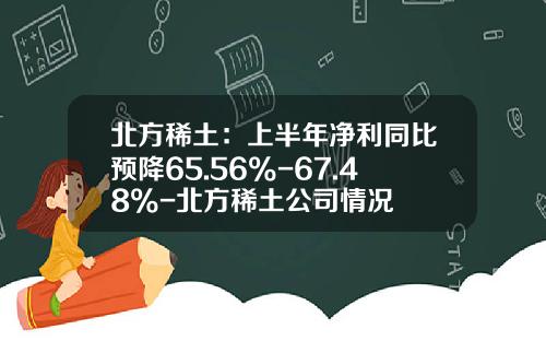 北方稀土：上半年净利同比预降65.56%-67.48%-北方稀土公司情况