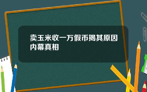 卖玉米收一万假币揭其原因内幕真相